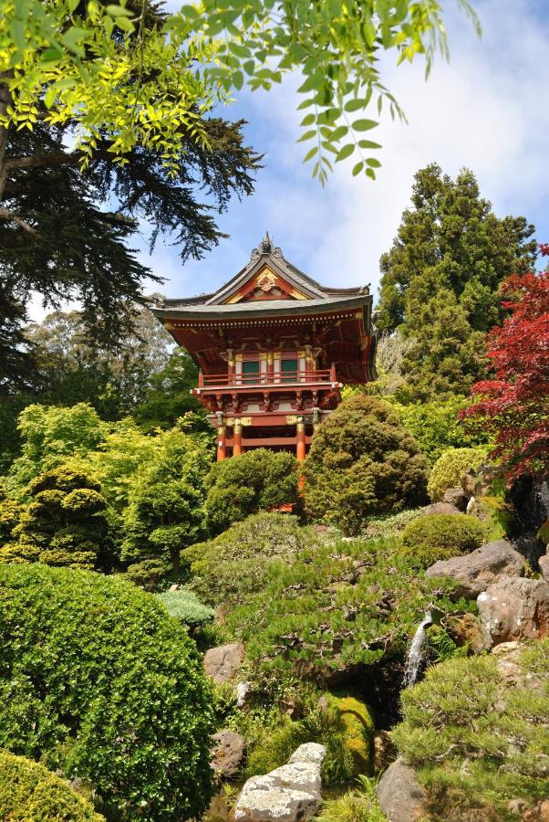 Golden Gate Park Suite San Francisco Exterior photo